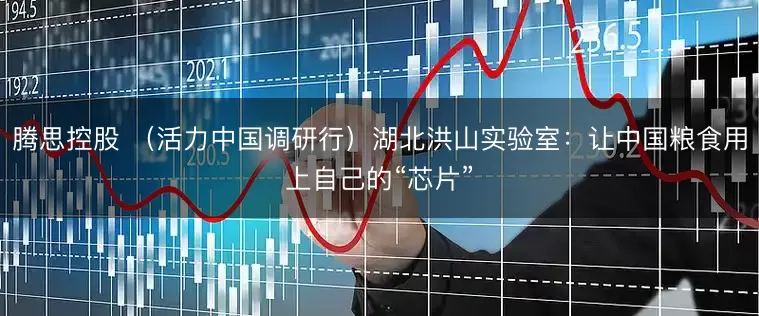 腾思控股 （活力中国调研行）湖北洪山实验室：让中国粮食用上自己的“芯片”